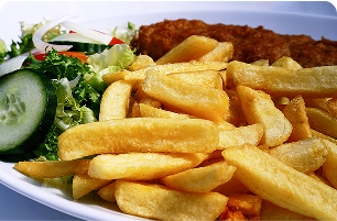 Imagen de un plato de comida con patatas fritas en airfryer